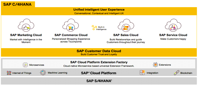 C/4 Hana Expertise